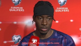 半岛体育-最新赛季德甲球队在欧战中的表现综述